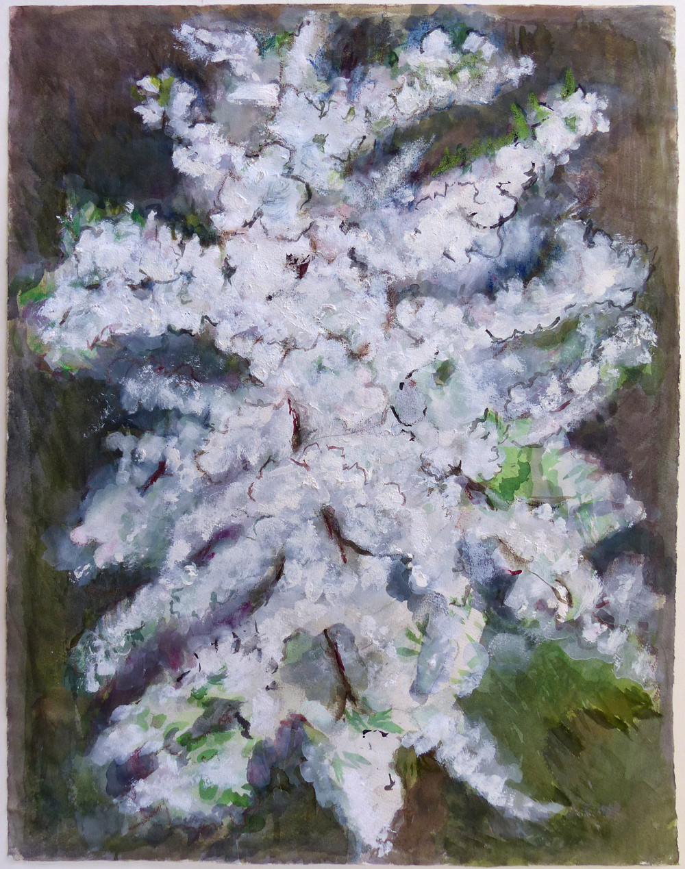 EM 046